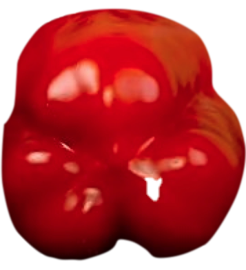 Paprika weiblich